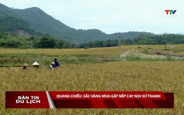 Bản tin Du lịch 11/11/2025