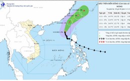Bão số 14 di chuyển theo hướng Bắc Tây Bắc, tốc độ khoảng 10-15km/h