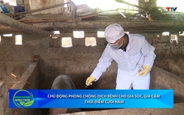 Bản tin Nông nghiệp - Nông thôn ngày 12/11/2025