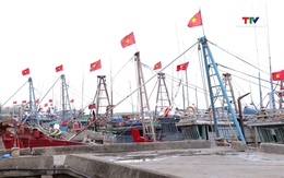 Thanh Hóa quyết liệt “chạy đua nước rút” chống khai thác IUU