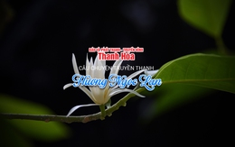 [Podcast] Hương Ngọc Lan | Câu chuyện truyền thanh