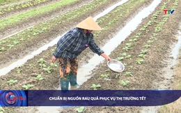 Bản tin Tài chính - Thị trường ngày 14/11/2025