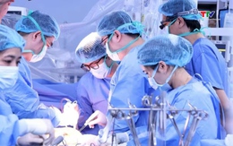 8 cuộc đời được hồi sinh từ nguồn hiến tạng của một quân nhân