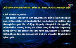 Chủ động ứng phó với rét đậm, rét hại và gió mạnh trên biển