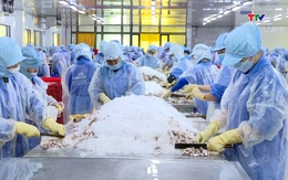 Thanh Hóa: Các ngành sản xuất tăng tốc mùa cao điểm