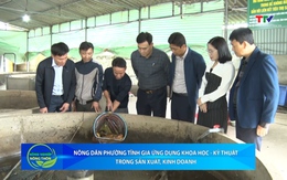 Bản tin Nông nghiệp - Nông thôn ngày 19/11/2025