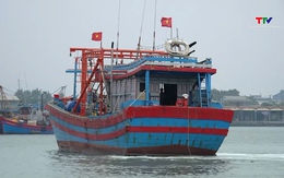 Đề xuất Chủ tịch xã có quyền phạt 500 triệu với vi phạm thủy sản