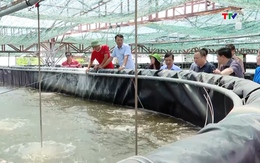 Năm 2026 phấn đấu chuyển đổi hơn 1.600 ha đất sản xuất nông nghiệp 