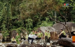 Phát hiện, xử lý 182 vụ vi phạm Luật lâm nghiệp 