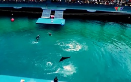 Du lịch Việt Nam tăng tốc đón khách mùa vàng cuối năm