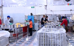 Đơn hàng xuất Mỹ của doanh nghiệp kín đến hết năm nay