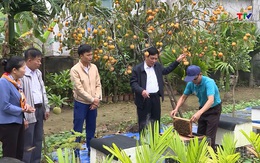 Sôi nổi cuộc thi "Vườn đẹp, trang trại hiệu quả" năm 2025