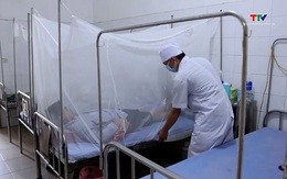 Sốt xuất huyết tăng mạnh