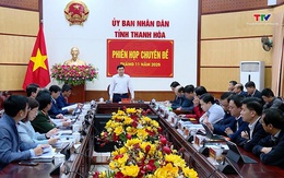 Ủy ban nhân dân tỉnh họp chuyên đề tháng 11/2025