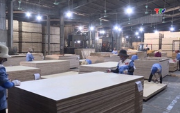 Ngành gỗ Việt Nam hướng tới mốc 18 tỷ USD xuất khẩu