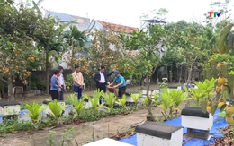 Đa dạng các mô hình vườn, trại tham dự cuộc thi  "Vườn đẹp, trang trại hiệu quả" năm 2025