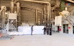 Các nhà máy tinh bột sắn bước vào chế biến niên vụ 2025 - 2026