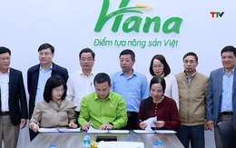 Hội nghị liên kết sản xuất và bao tiêu lúa gạo