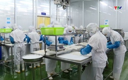 Đảm bảo nguồn cung thực phẩm an toàn dịp cuối năm