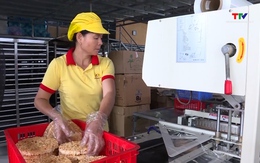 Ưu đãi thuế cho doanh nghiệp vừa và nhỏ năm 2025: Kỳ vọng cú hích thúc đẩy kinh tế