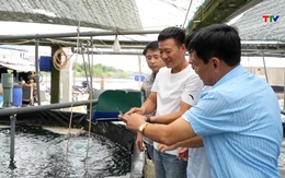 Nhân rộng mô hình nuôi trồng thủy sản ứng dụng công nghệ cao