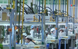 Việt Nam đón làn sóng đầu tư từ các quốc gia APEC 