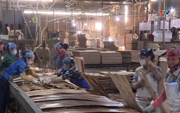 Tín hiệu lạc quan từ thị trường xuất khẩu nông, lâm, thủy sản