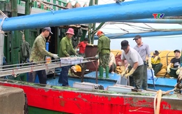 Sản lượng thủy sản toàn tỉnh đạt 80,7% kế hoạch năm