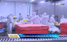 Bản tin Doanh nghiệp - Doanh nhân ngày 05/11/2025