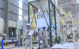 Phong trào sản xuất, kinh doanh giỏi tạo động lực để nông dân làm giàu