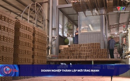 Bản tin Tài chính - Thị trường 7/11/2025