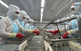 Kim ngạch xuất khẩu nông lâm thủy sản  10 tháng đạt hơn 58 tỷ USD 