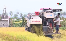 Ngành nông nghiệp duy trì tăng trưởng