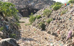 Cần sớm giải quyết tình trạng ô nhiễm môi trường tại bãi rác núi Voi, phường Bỉm Sơn