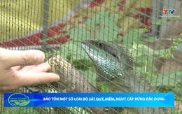 Bản tin Nông nghiệp - Nông thôn ngày 10/12/2025