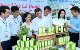 Chủ động sản phẩm tham gia kết nối cung cầu nông sản, thực phẩm an toàn năm 2025