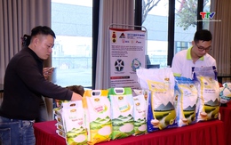 Sẵn sàng cho Đại hội Hiệp hội doanh nghiệp tỉnh