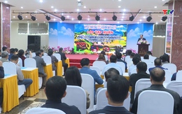 Tập huấn chuyên môn Dự án 6 cho cán bộ vùng đồng bào dân tộc thiểu số