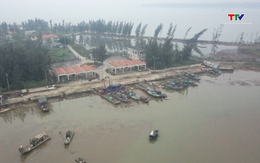 Mong chờ phát huy hiệu quả Cảng cá Hoằng Phụ