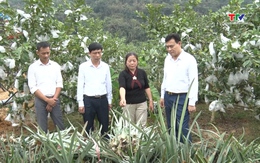 Phong trào nông dân - Động lực mới cho nông thôn Thanh Hóa