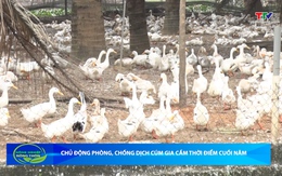 Bản tin Nông nghiệp - Nông thôn ngày 17/12/2025