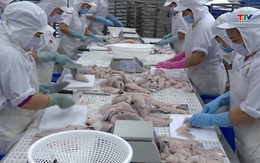 Xuất khẩu cá tra vượt mốc 2 tỷ USD