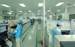 MUFG nâng dự báo tăng trưởng kinh tế Việt Nam