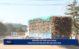 Bản tin An toàn giao thông 24h ngày 20/12/2025