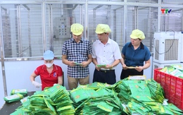 Tập trung sản xuất và chuẩn bị nông sản phục vụ Tết Nguyên đán 2026  