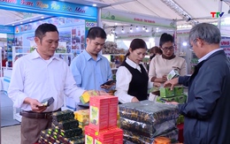 Chuyển đổi số thúc đẩy tiêu thụ nông sản