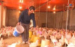 Đáp ứng kịp thời vốn tín dụng cho hộ nghèo và các đối tượng chính sách