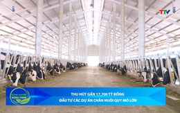 Bản tin Nông nghiệp – Nông thôn 24/12/2025