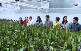 Phát huy vai trò của Hợp tác xã trong ứng dụng khoa học công nghệ