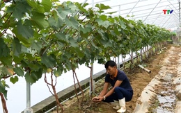 Thu nhập hàng tỷ đồng nhờ ứng dụng khoa học, công nghệ vào sản xuất 